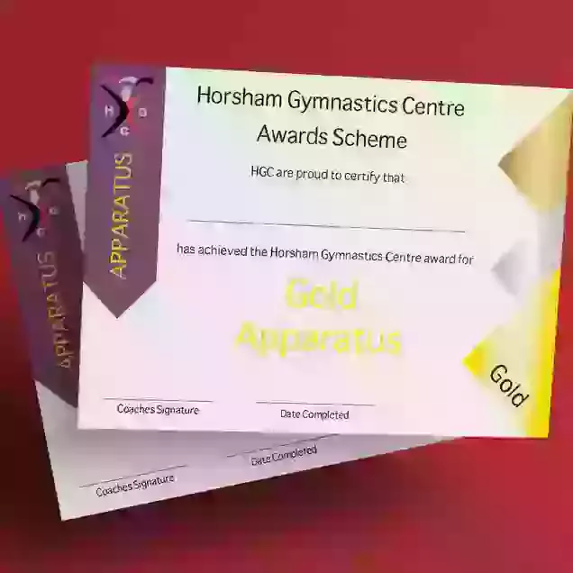 HGC Award Apparatus Gold Certificate & Medal